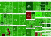 گزارش بورس امروز دوشنبه ۱۲ آذر؛ سبز همتی! - اکونیوز