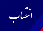 معاون عمره سازمان حج و زیارت تغییر کرد - اکونیوز