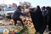 کدو حلوایی سالم‌ترین خوراکی شب یلدا است - اکونیوز