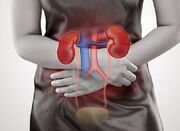 دیابت و نارسایی کلیوی، هشدارهای جدی برای بیماران دیابتی - اکونیوز