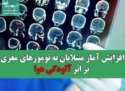 افزایش آمار مبتلایان به تومورهای مغزی بر اثر آلودگی هوا - اکونیوز