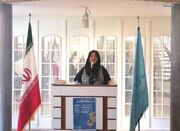 معاون وزیر میراث فرهنگی: سند توسعه صنایع دستی به زودی رونمای... -