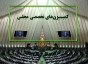 بررسی «تحولات ارزی» و «علت خاموشی‌ها اخیر» در کمیسیون‌های مج... -