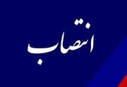 عضو هیئت مدیره صندوق بیمه اجتماعی کشاورزان، روستائیان و عشای... -