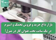 بازار داغ خرید و فروش تخمک و اسپرم در یک سایت تحت عنوان کار ... -