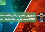 هیچ ویروس جدیدی در کشور مشاهده نشده، H1N1 همچنان ویروس غالب ... -