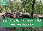 بازمانده ۲۵ میلیون‌ساله جنگل‌ها در آستانه نابودی: هیرکانی قر... -