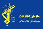 شناسایی شبکه سازمان یافته خرید و فروش غیرمجاز آرد یارانه‌ای ... -