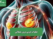 خطرات چربی درون عضلانی - اکونیوز