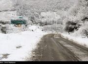 هواشناسی ایران۱۴۰۳/۱۱/۲۷؛برف و باران در ۲۹ استان - اکونیوز