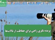 پرنده نگری راهی برای حفاظت از تالاب‌ها - اکونیوز