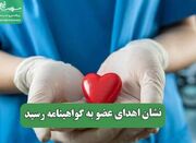 نشان اهدای عضو به گواهینامه رسید - اکونیوز