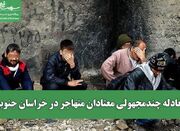 معادله چندمجهولی معتادان متهاجر در خراسان جنوبی - اکونیوز