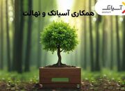 ۱۵ درصد تخفیف خرید نهال برای کاربران آسیاتک در هفته درختکاری... -