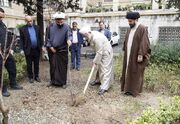 متظری: به زمین‌خواری و قلع و قمع درختان بدون مسامحه رسیدگی م... -