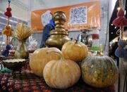 جشنواره ملی «کئی پلا» در ساری برپا شد - اکونیوز