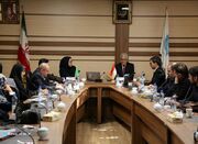 سفیر اندونزی خواستار ارتقای همکاری با ایران در حوزه علم و فن... -