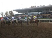 رقابت تنگاتنگ ۷۴ اسب در گنبدکاووس برای کسب جایزه ۲۴ میلیارد ... -