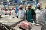 حسینی: سیستان‌ و بلوچستان یکی از محورهای تأمین گوشت قرمز کشو... -
