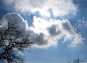 هوای تهران به وضعیت قابل قبول بازگشت - اکونیوز