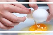 راز جوانی پوست و تقویت مو در پوسته تخم‌مرغ - اکونیوز