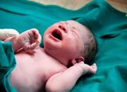 ۲۶ زایمان موفق در دل سیلاب هرمزگان مدیریت شد - اکونیوز