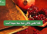 یلدا یعنی پایان شبه سیه سپید است - اکونیوز