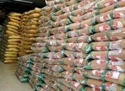 ۲۶ تن برنج تنظیم بازار در شهرستان گناوه توزیع می شود - اکونیوز