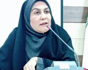 فرماندار جیرفت تاکید کرد: ضرورت گذر از کشاورزی به سمت صنایع ... -