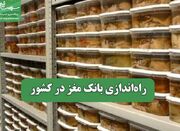 راه‌اندازی بانک مغز در کشور - اکونیوز