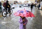 معاون هواشناسی بوشهر: سامانه بارشی وارد استان می‌شود - اکونیوز