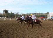 قهرمانان هفته هفتم اسبدوانی گنبدکاووس معرفی شدند - اکونیوز