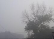 هوای مه آلود و ناسالم شهر اراک - اکونیوز