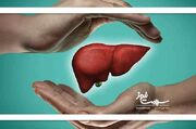 چگونه مبتلایان به کبد چرب می‌توانند از پرخوری هیجانی جلوگیری... -