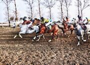 فینال روز دوم کورس گنبدکاووس با جوایز ۳۰ میلیاردی - اکونیوز