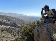 کنعانی: سرشماری سراسری پستانداران شاخص مازندران اجرا شد - اکونیوز