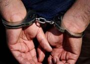 مخل نظم عمومی در گناوه دستگیر شد - اکونیوز