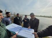 لزوم برخورد بدون اغماض با شکار و فروش پرندگان مهاجر - اکونیوز