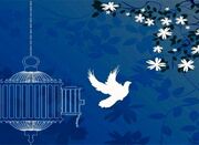 بخشش اولیای دم ۲ محکوم به قصاص را در نوشهر از چوبه دار نجات ... -