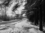 باد شدید و بارش برف مهمان آخر هفته همدان - اکونیوز