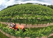 الگوی کشت لحظه‌ای رصد می‌شود - اکونیوز