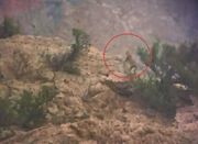 باقری: پلنگ ایرانی در منطقه خرمنه‌سر طارم مشاهده شد - اکونیوز