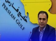 معاون استاندار بوشهر: سرمایه‌گذاری در حوزه اقتصاد دریامحور ض... -
