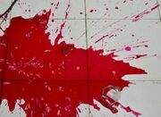 قتل پدر ۵۰ ساله توسط پسر در ایلام - اکونیوز