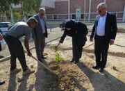 اجرای پویش درختکاری در ۸ نقطه استان سمنان به مناسبت روز پدر - اکو