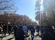 مهندسی آشوب با روایت زنانه - اکونیوز