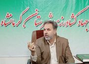 اجرای طرح انتخاب مشارکتی نخود و عدس در کرمانشاه - اکونیوز