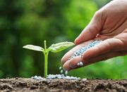 پایش خاک‌های شور کشور کلید خورد - اکونیوز