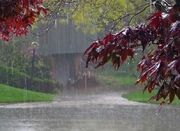 هواشناسی ایران امروز 1404/10/13 - اکونیوز