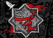 کارشناس مسائل دینی: زینب(س) با ایستادگی رسانه‌ای، روایت عاشو... -